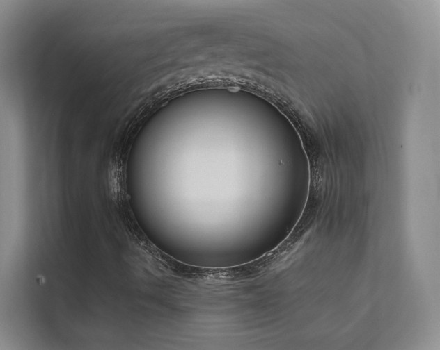 X0000111611490200907171213