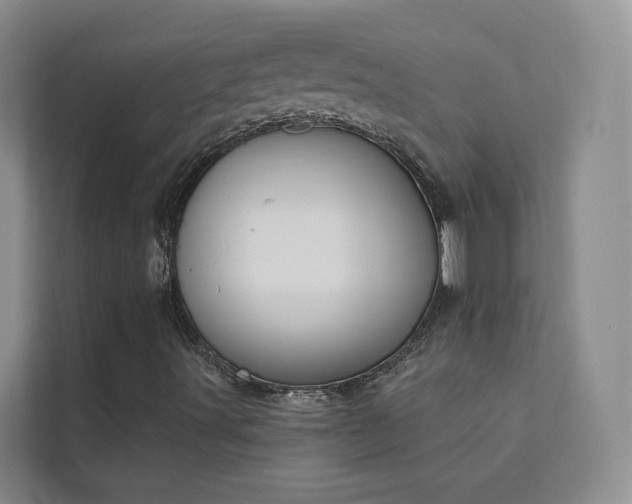 X0000111611491200907171213