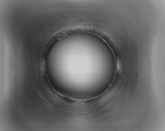 X0000111611492200907171213