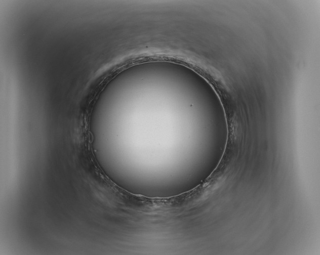 X0000111611494200907171213