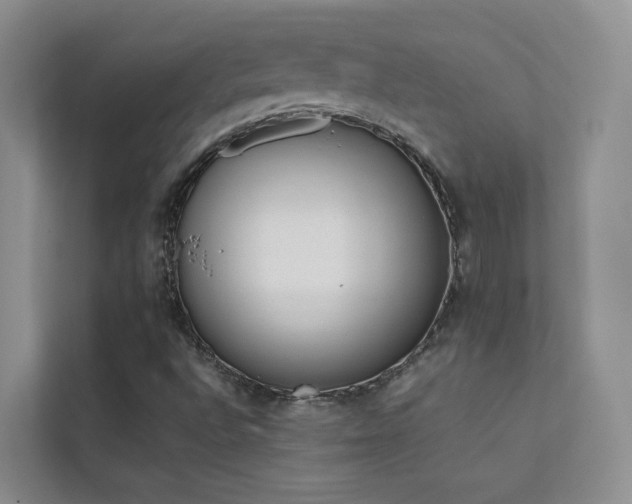 X0000111611496200907171213