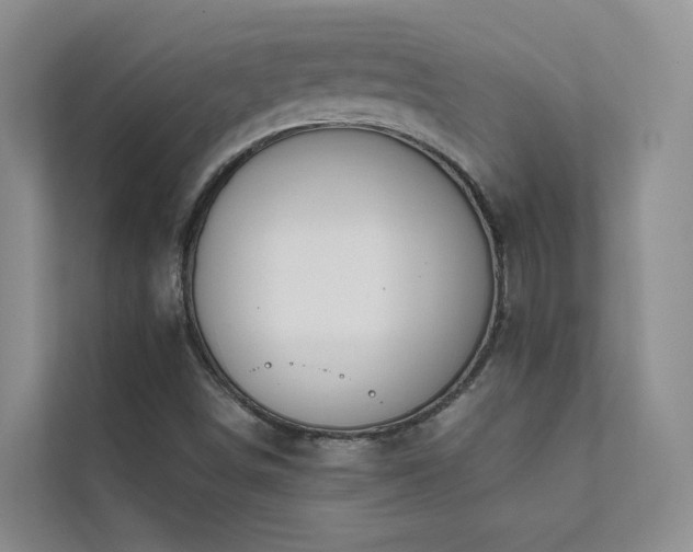 X0000111611498200907171213