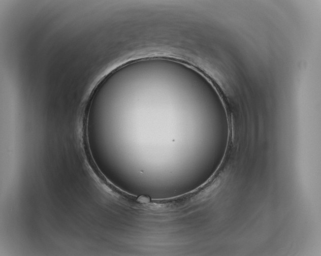 X0000111611500200907171213