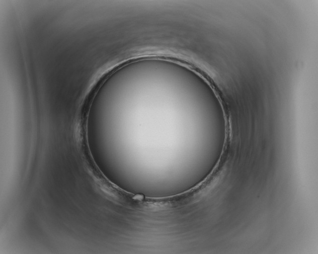 X0000111611501200907171213