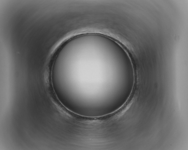 X0000111611502200907171213