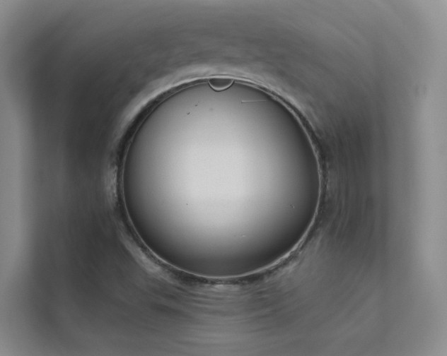 X0000111611503200907171213