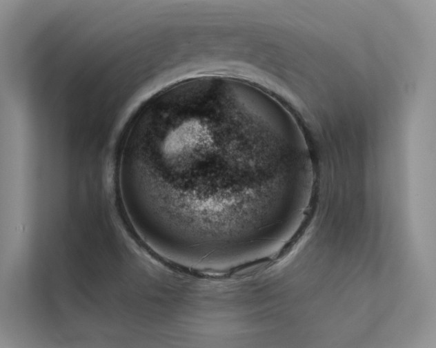 X0000111611506200907171213