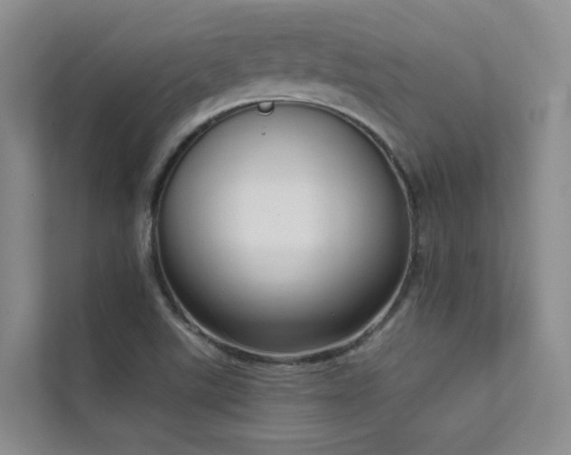 X0000111611507200907171213