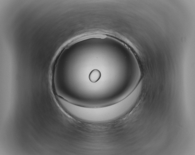 X0000111611508200907171213