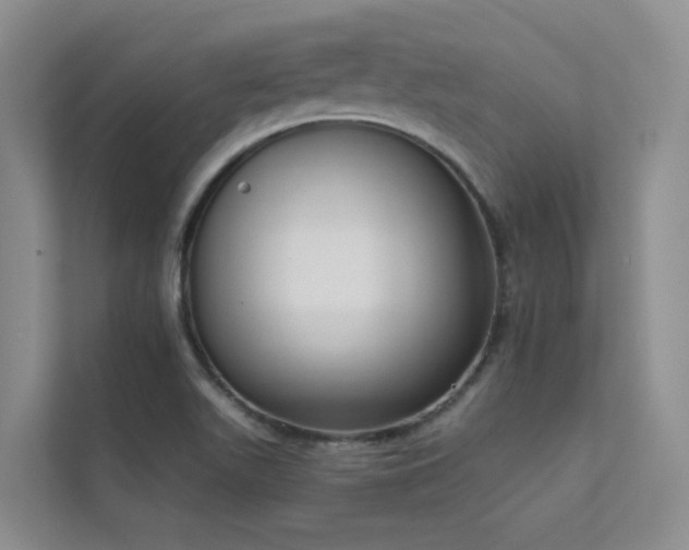 X0000111611511200907171213