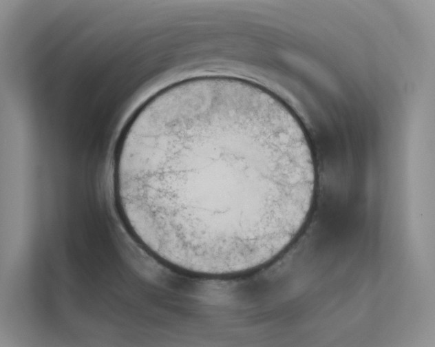 X0000111611514200907171213