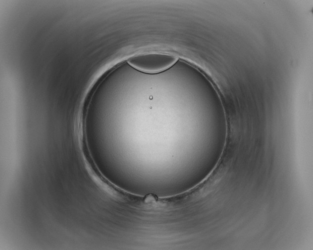 X0000111611515200907171213