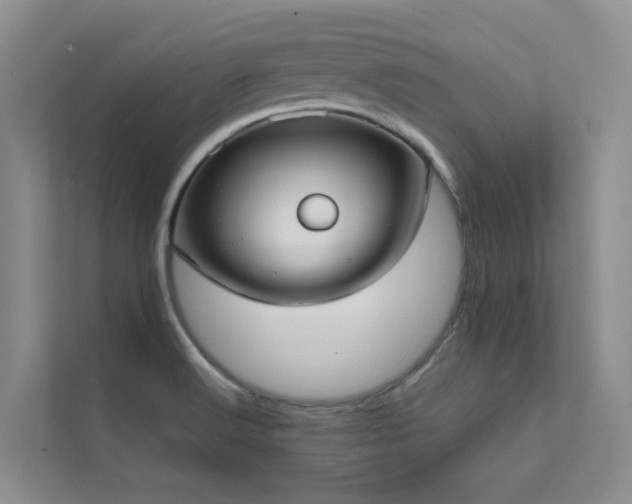 X0000111611516200907171214