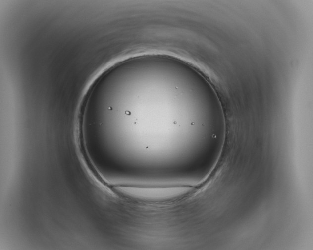 X0000111611518200907171214