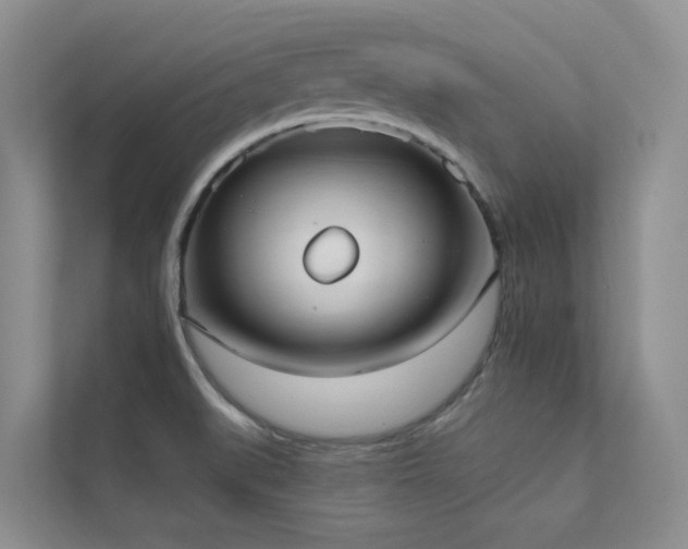 X0000111611519200907171214