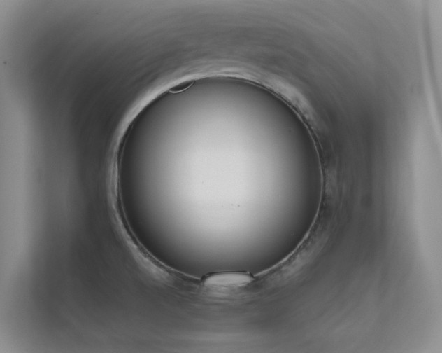 X0000111611520200907171214