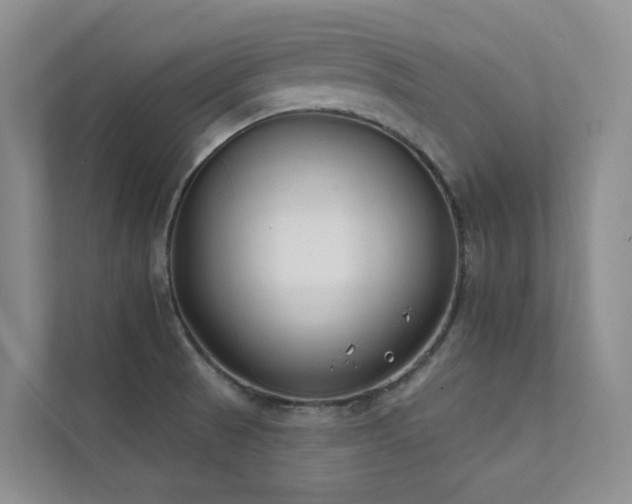 X0000111611521200907171214