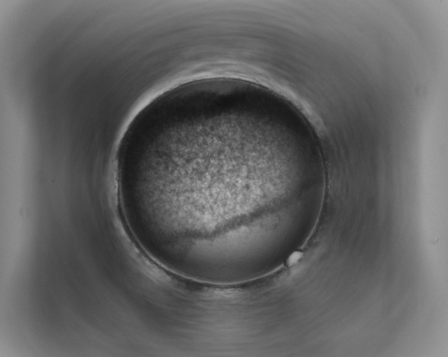 X0000111611522200907171214