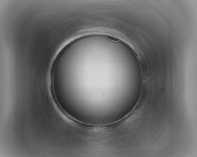 X0000111611523200907171214