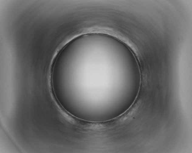 X0000111611525200907171214