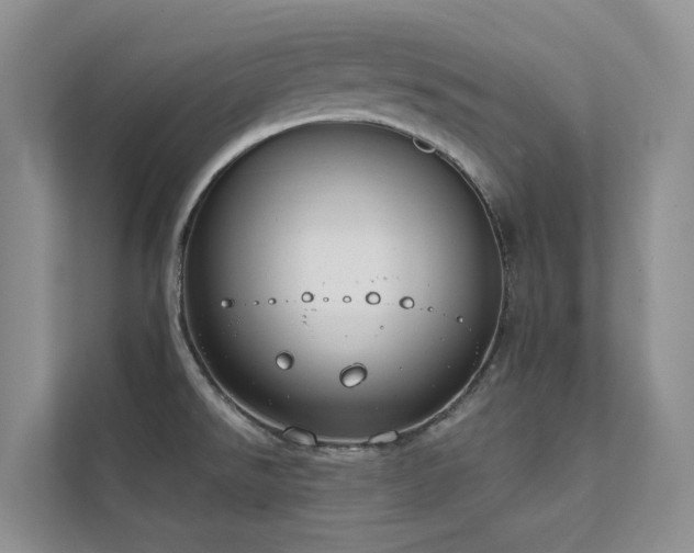 X0000111611526200907171214