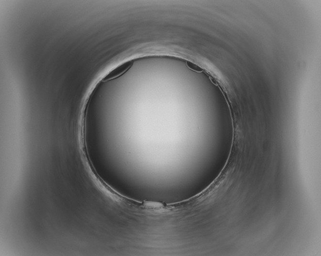 X0000111611528200907171214