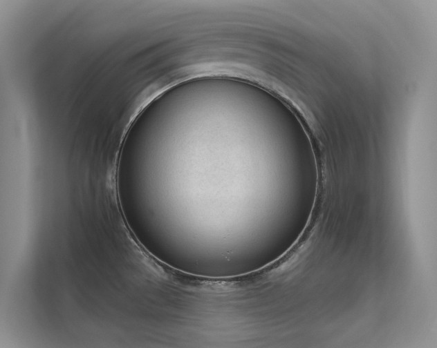 X0000111611529200907171214