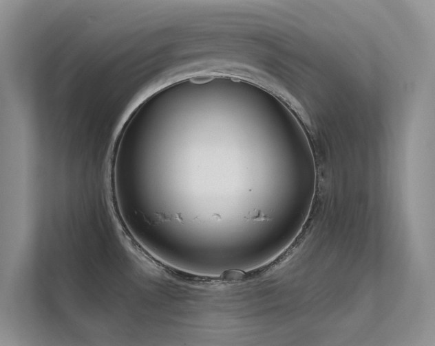 X0000111611530200907171214