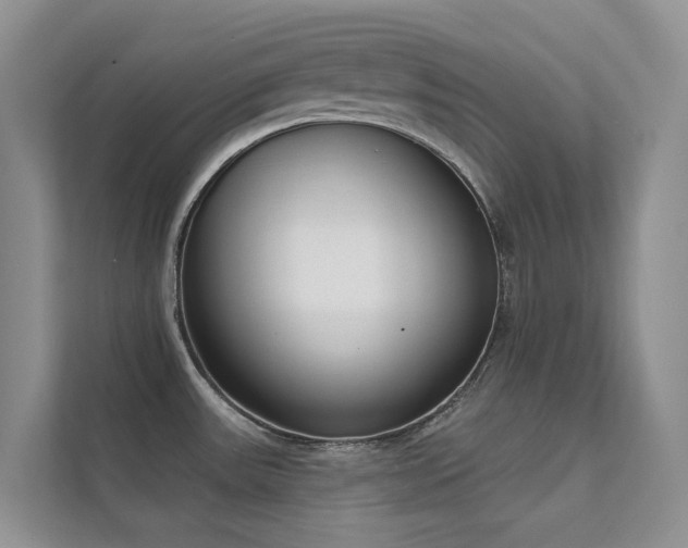 X0000111611531200907171214