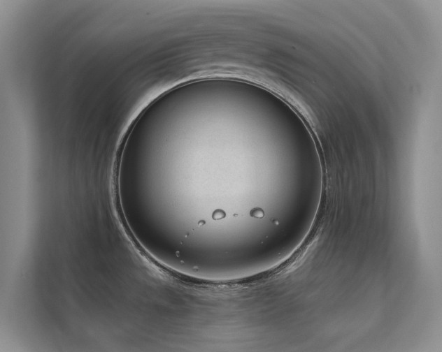 X0000111611533200907171214