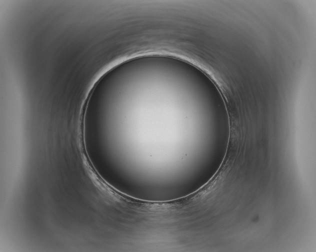 X0000111611534200907171214