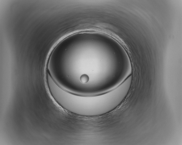 X0000111611536200907171214
