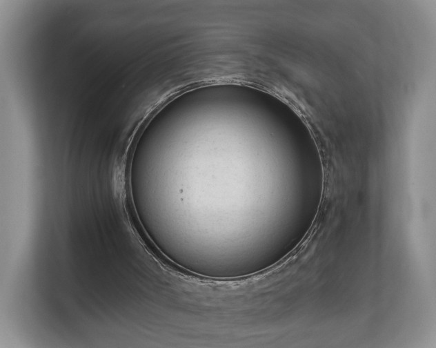 X0000111610002200907241019
