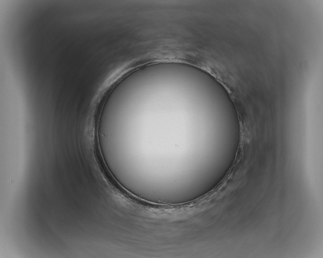 X0000111610005200907241019