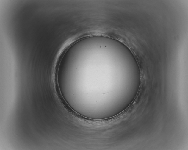 X0000111610006200907241019