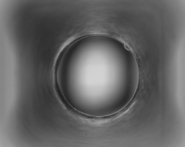 X0000111610008200907241019