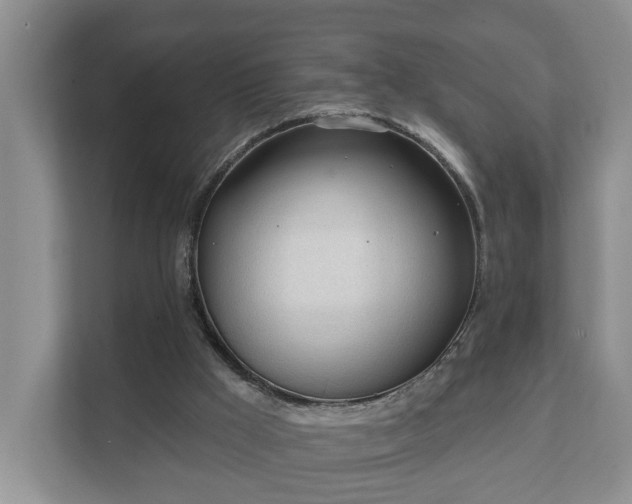 X0000111610009200907241019