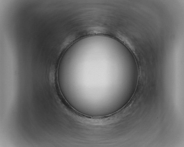 X0000111610010200907241019