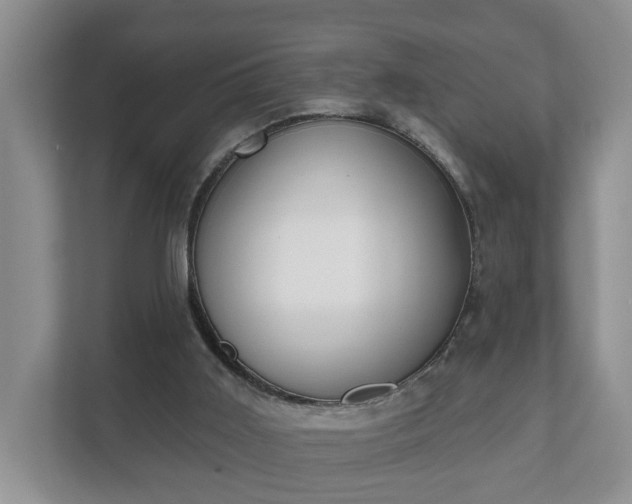 X0000111610011200907241019