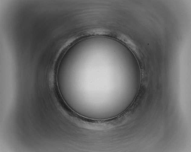 X0000111610012200907241019