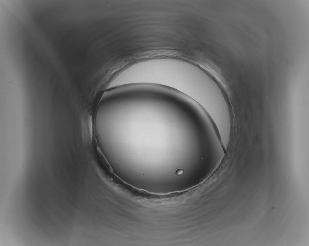 X0000111610013200907241019