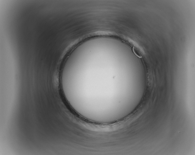 X0000111610015200907241019