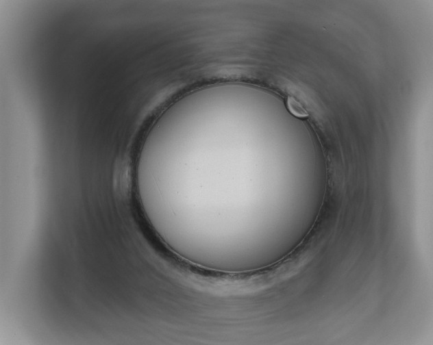 X0000111610016200907241019