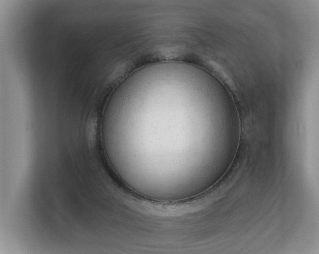 X0000111610018200907241019