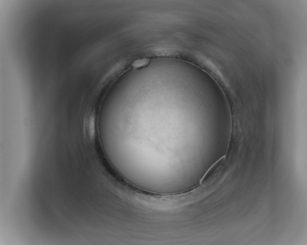 X0000111610019200907241019