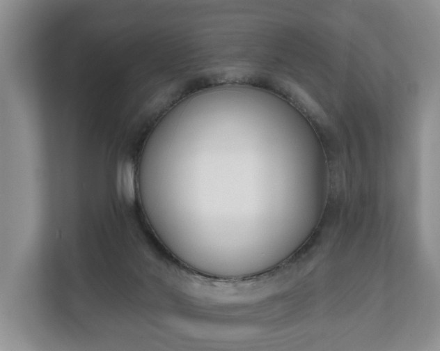 X0000111610022200907241019