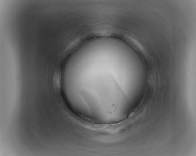 X0000111610023200907241019