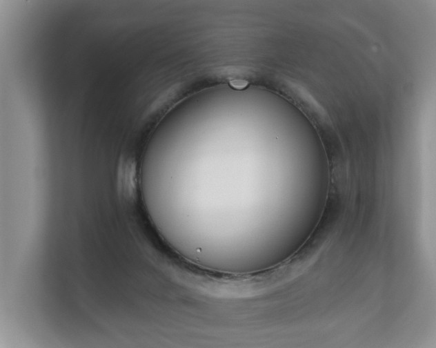 X0000111610024200907241019