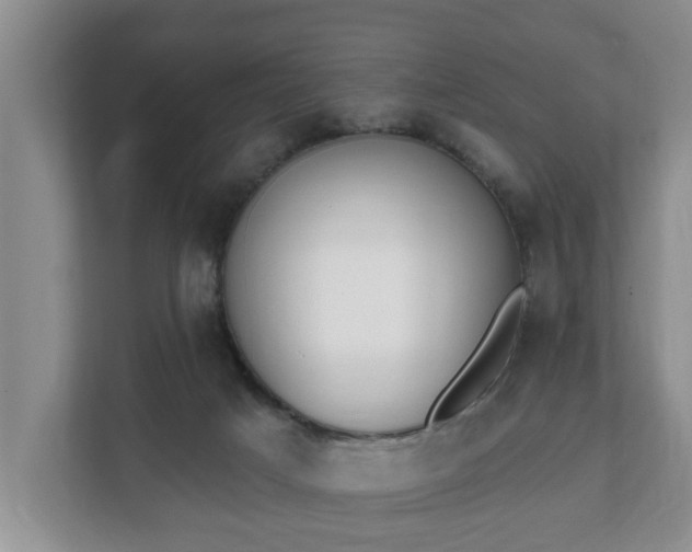 X0000111610025200907241019
