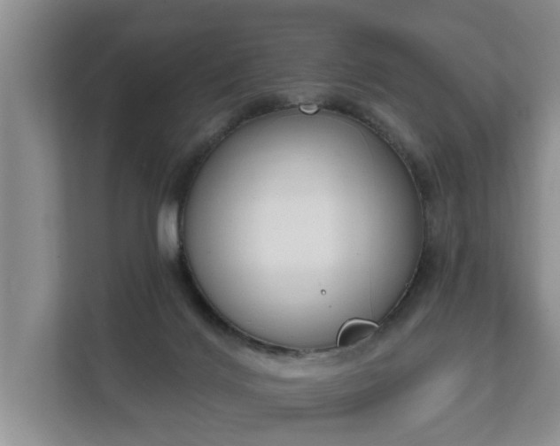 X0000111610028200907241019